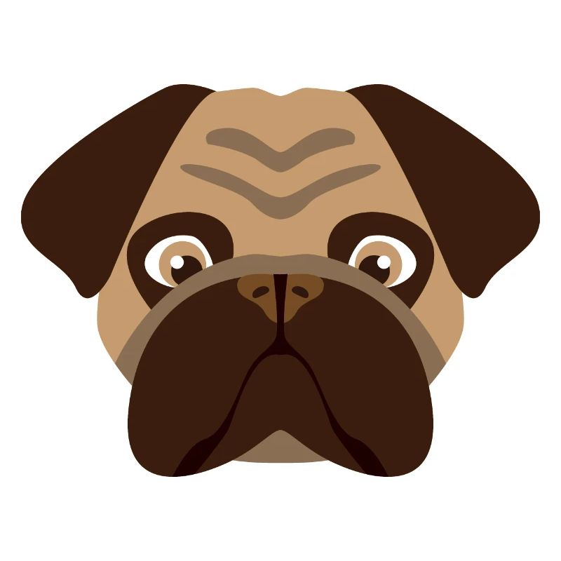 Hund Mops