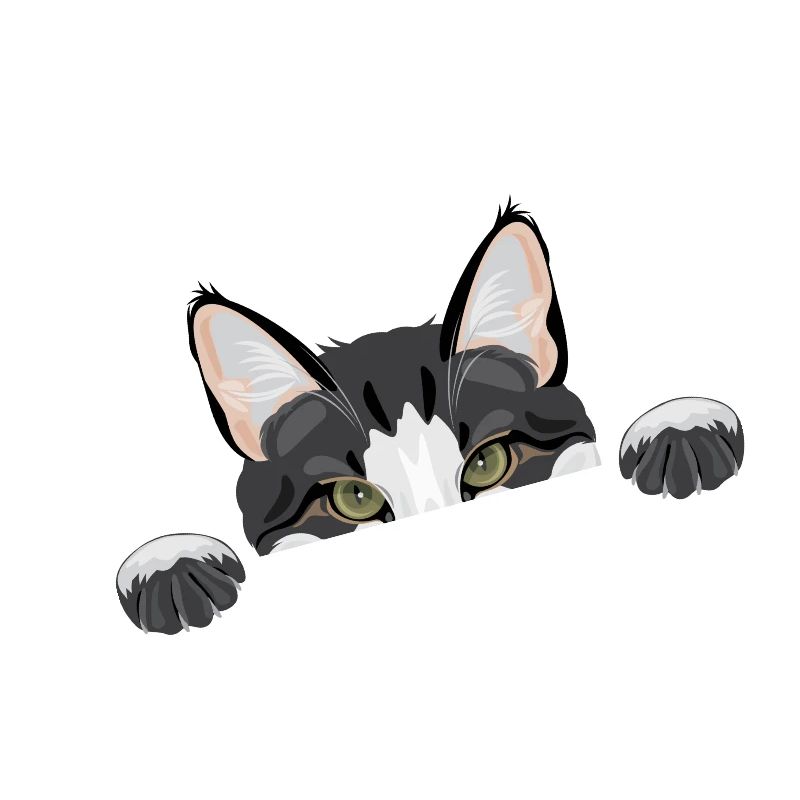 Peeping funny cat