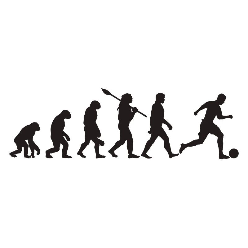 Evolution Fußball