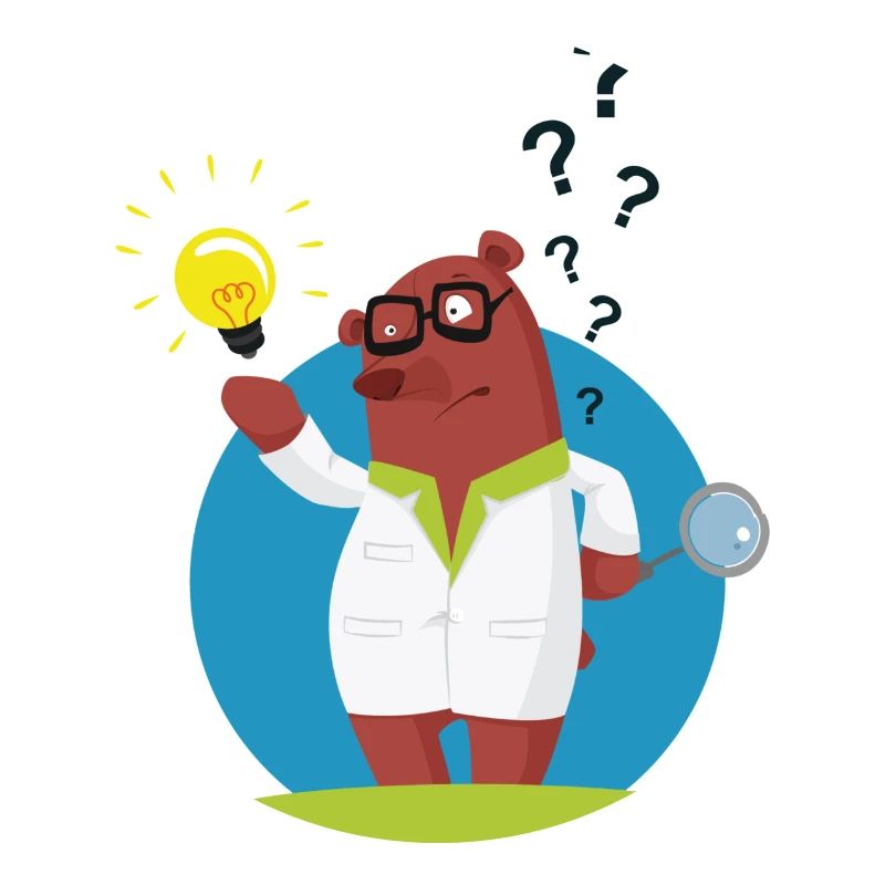 Explainer bear