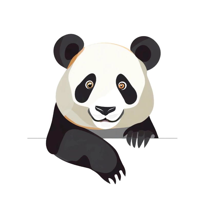 Cute Panda