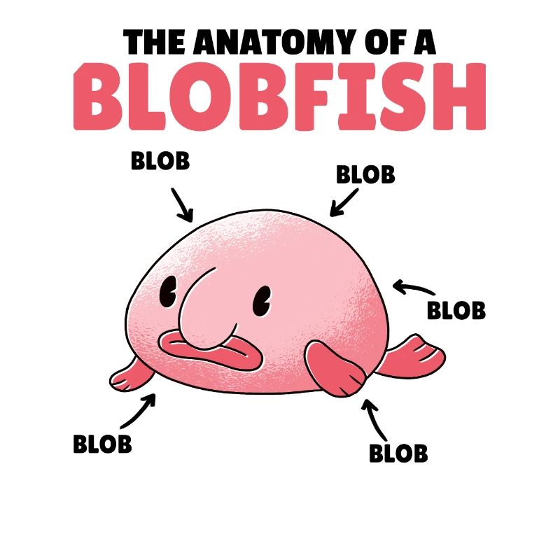 Blobfish Explication Anatomie d’un Blobfish