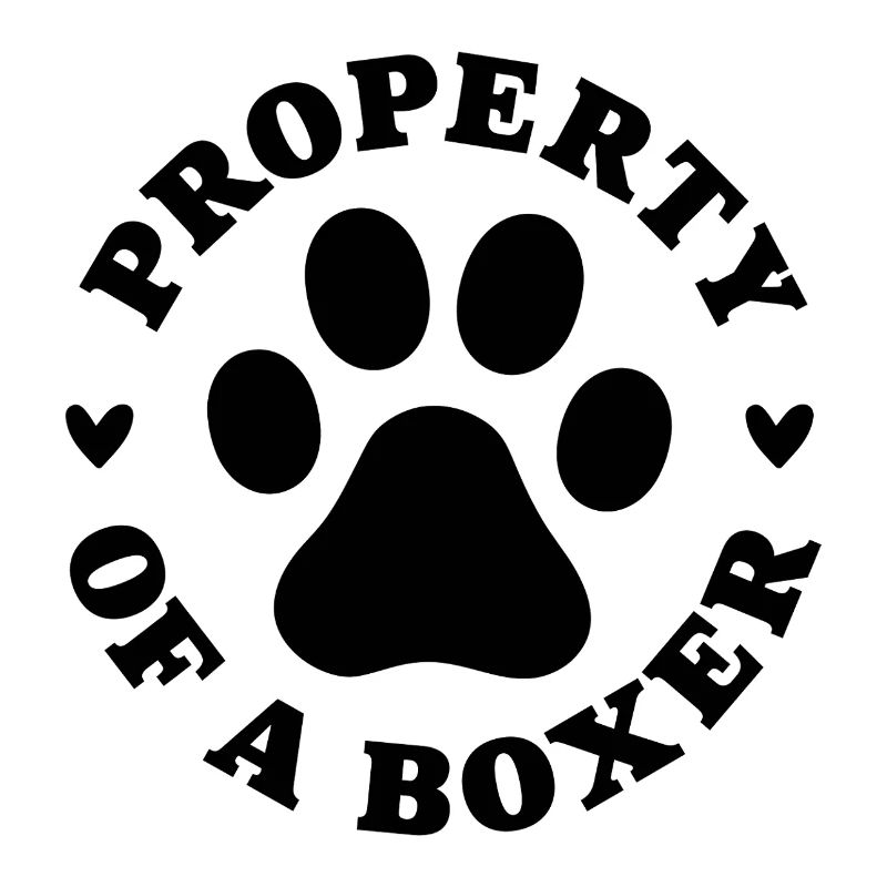 Eigentum eines Boxers