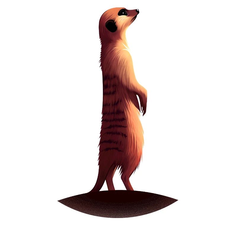 Erdmännchen