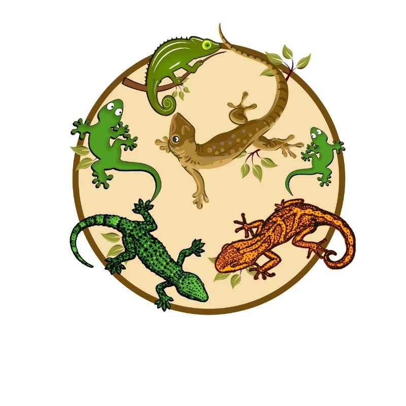 Gecko lizard