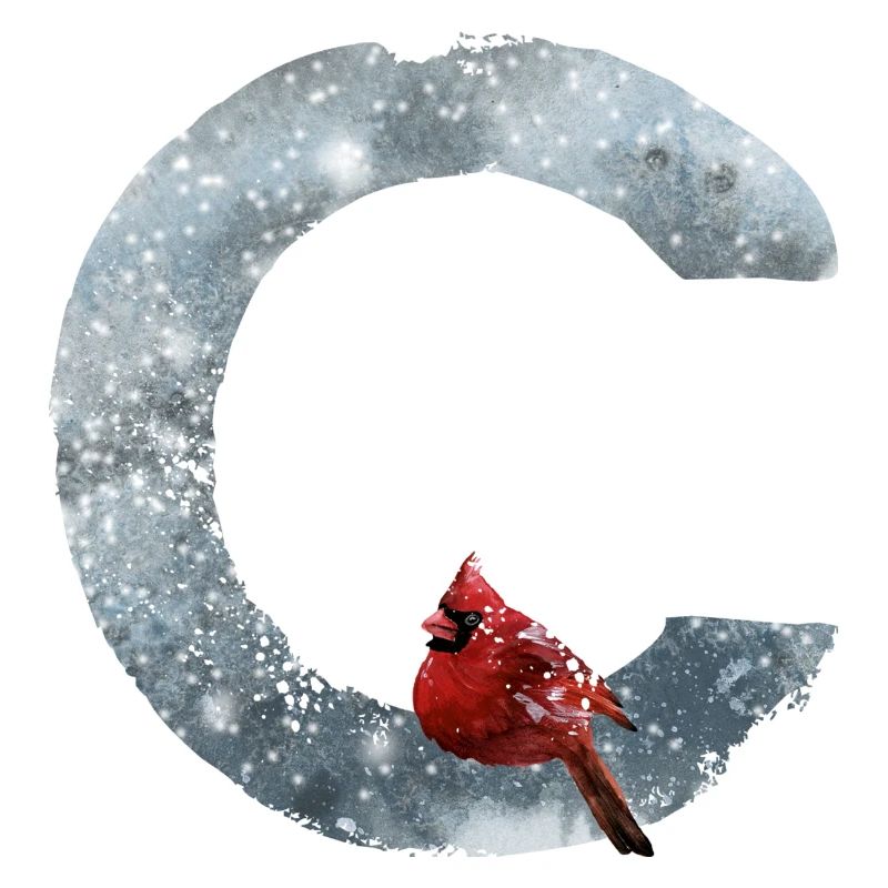 C – dekoratives Schriftzeichen – Winter