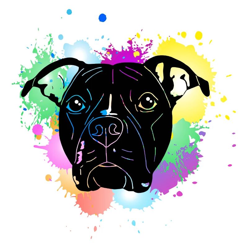 Pitbull Terrier mit Splash