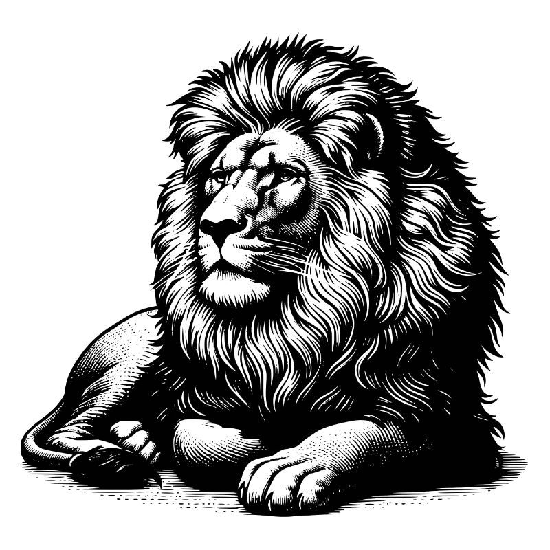 Reclining lion, predator, big cat, lion design