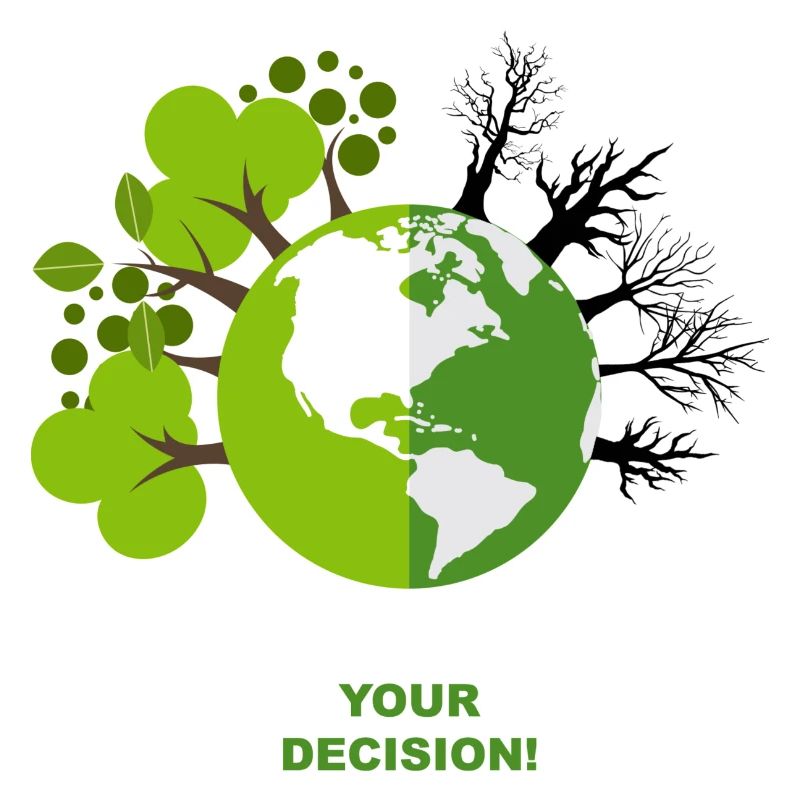 Your decision
