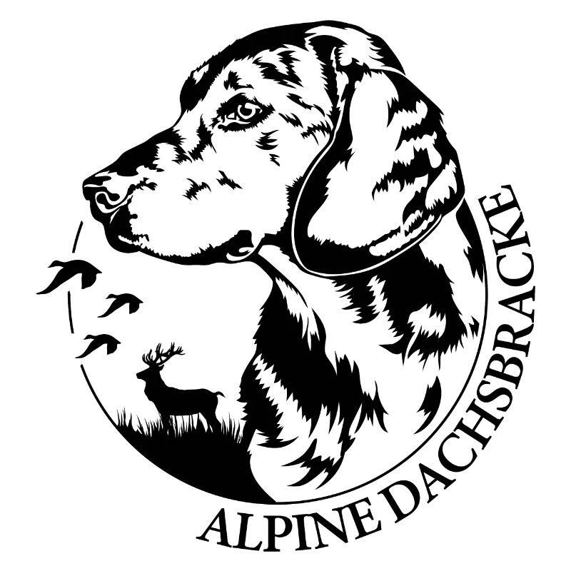 ALPINE DACHSBRACKE Hundeportrait Jagdhund Wilsigns