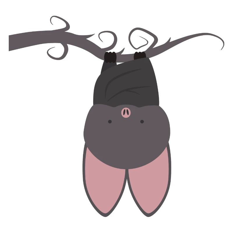 bat