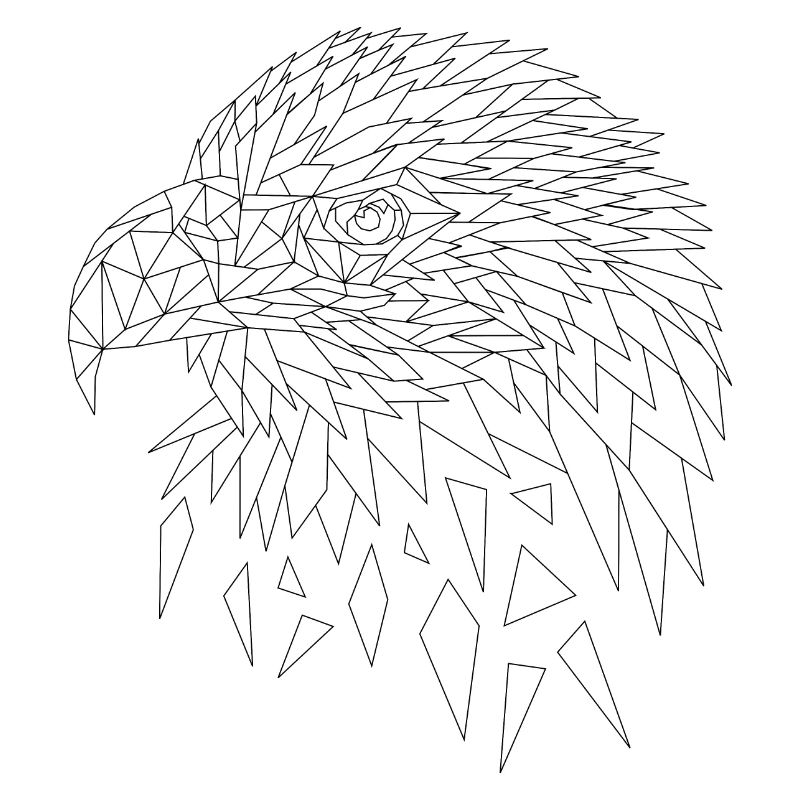 Sea eagle eagle polygons