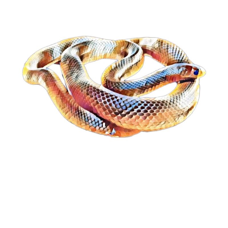 Serpent