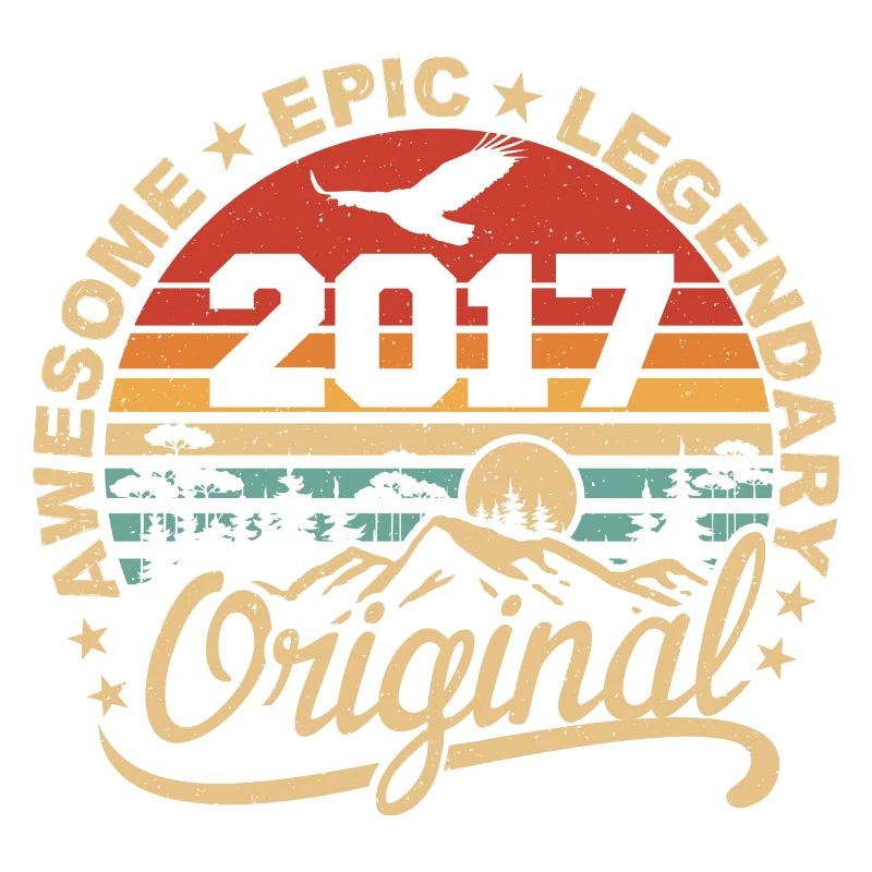 Original 2017 Geburtstagsgeschenk 2017 Retro 2017