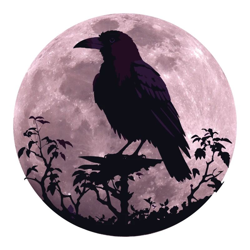 Raven in full moon light