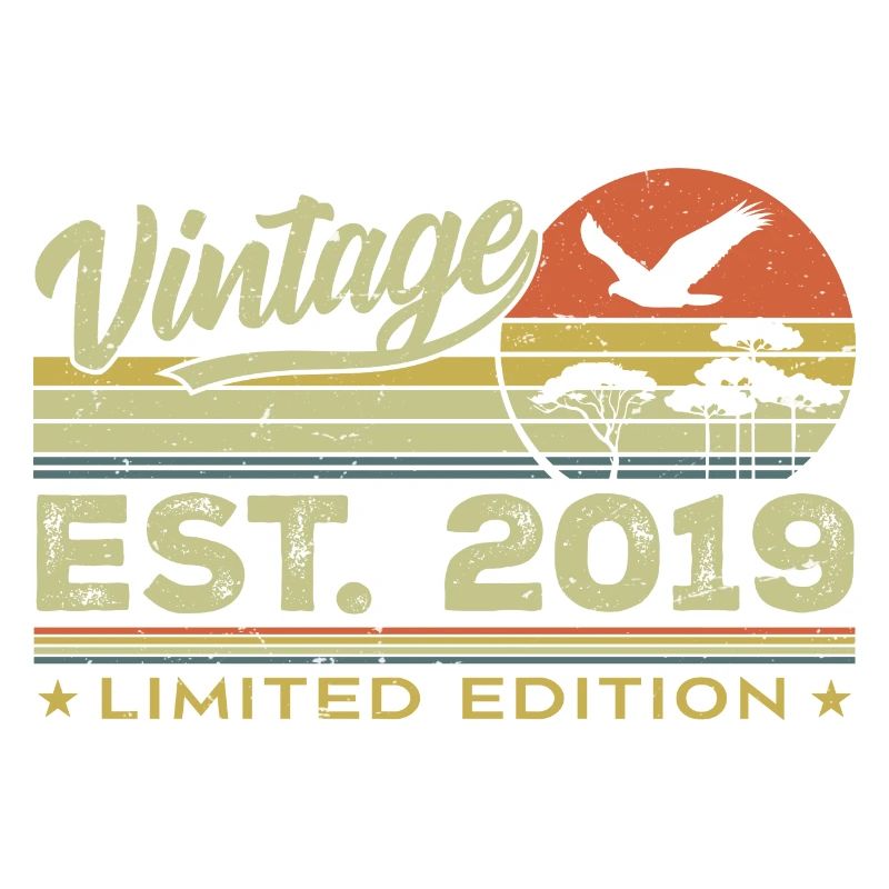 Vintage 2019 Awesome Since 2019 Gift 2019 Retro
