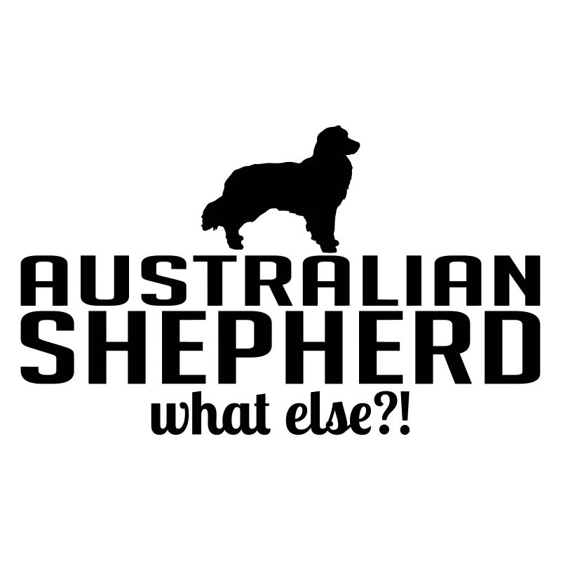 AUSTRALIAN SHEPHERD quoi d'autre le discours de chien de Wilsign