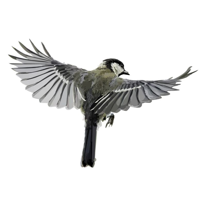 Vogel
