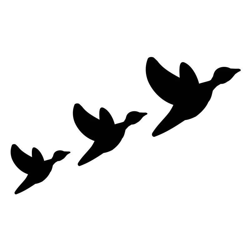 canard