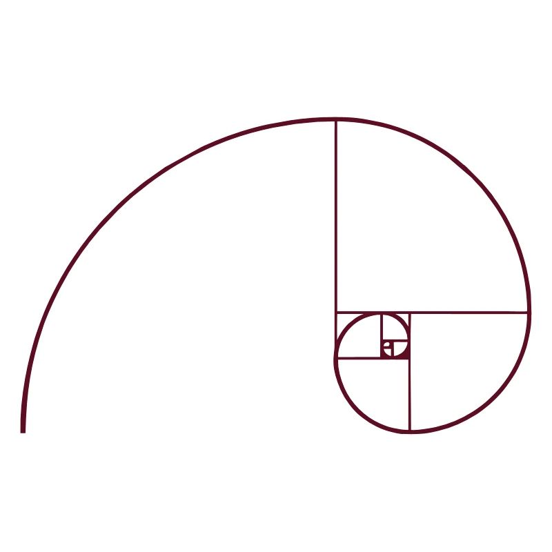 Spirale de Fibonacci, section doré, Phi, evolution