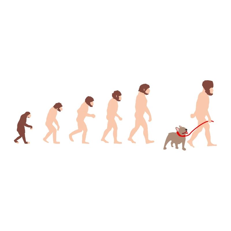 Die Evolution des Mensch Mann mit French Bulldog