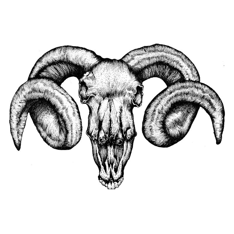 ram