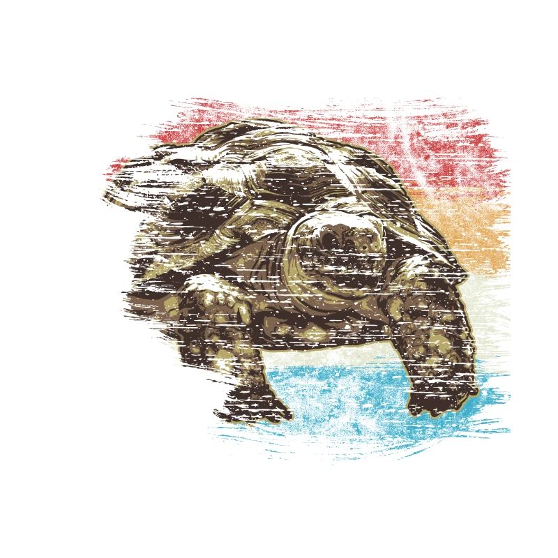 Schildkröte