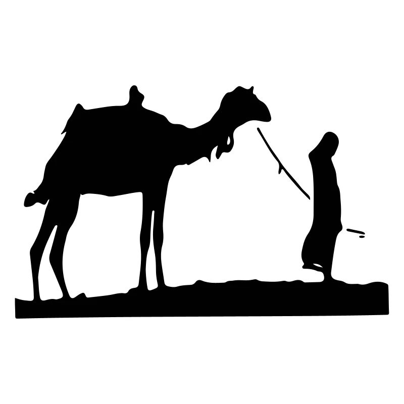 Sahara desert camel