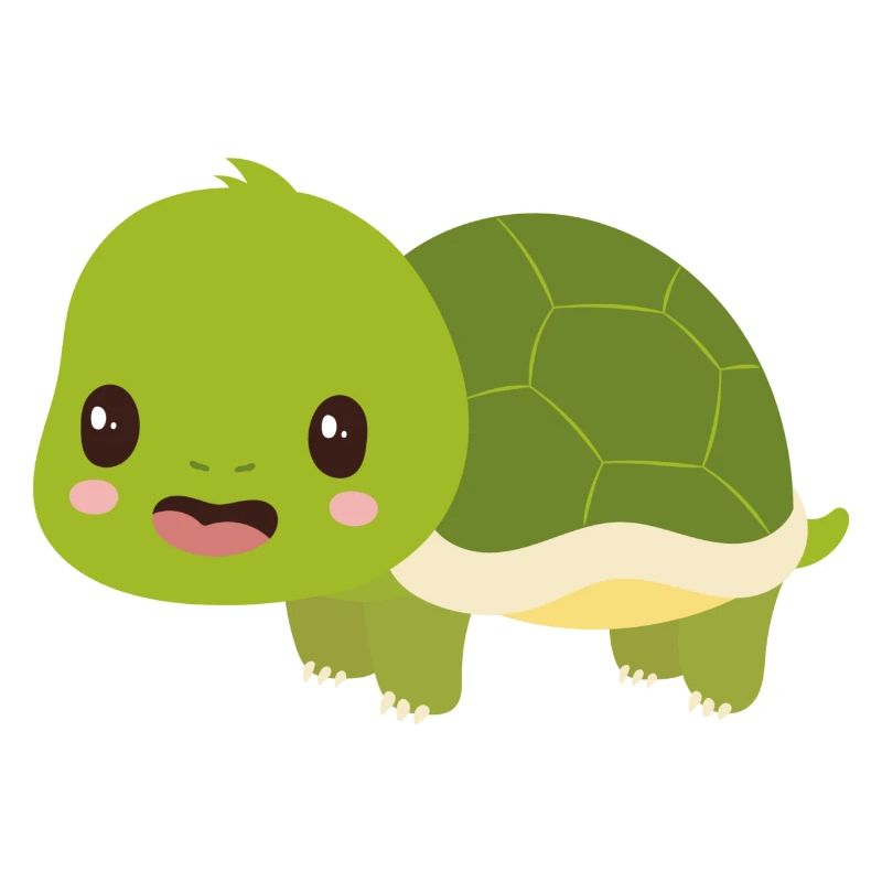 turtle