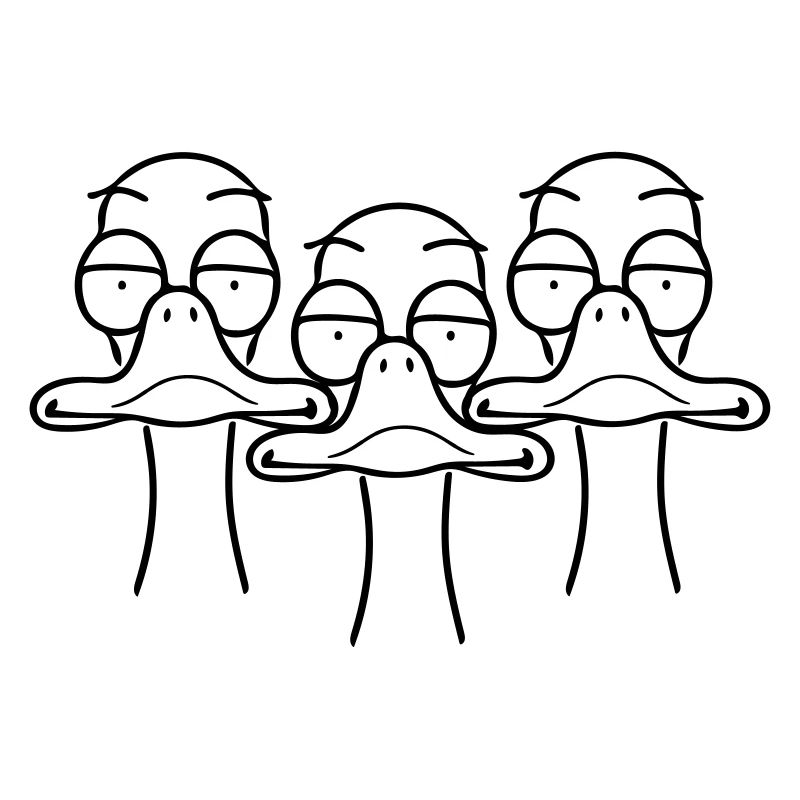Three funny ducks