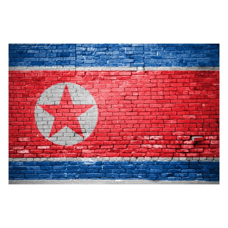 Drapeau de la Corée du Nord Graffiti sur mur de briques