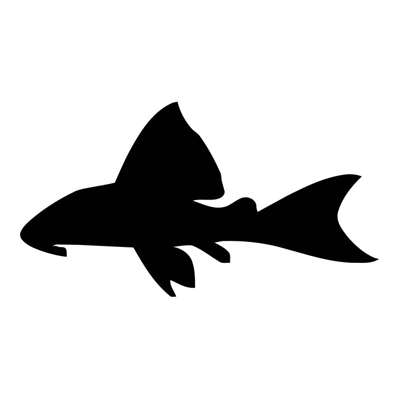 Catfish