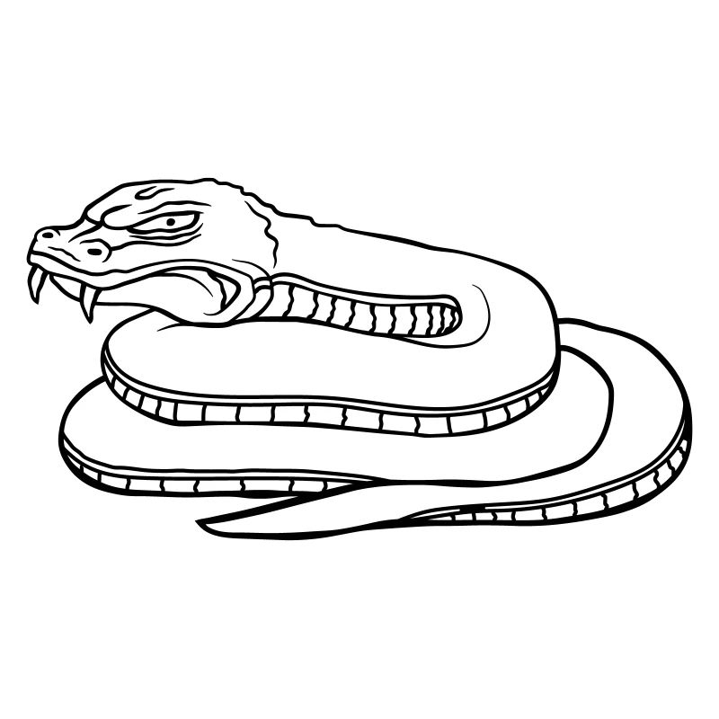 Dangerous evil snake design