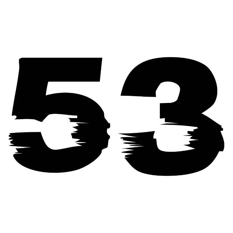 53 number