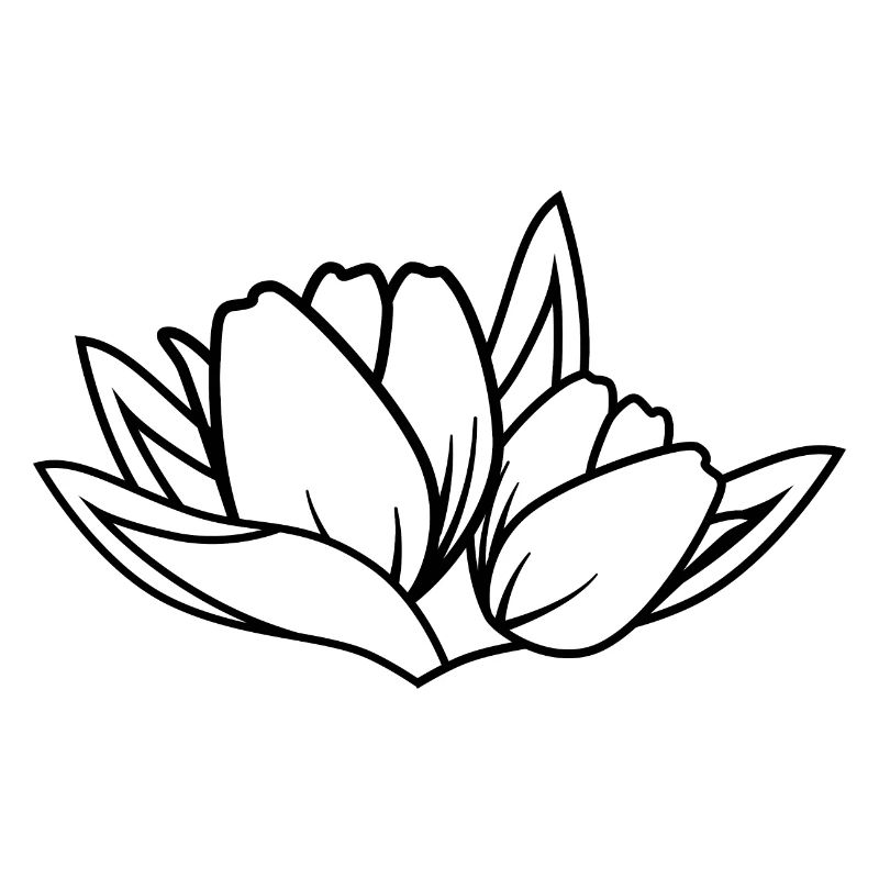 Tulipe