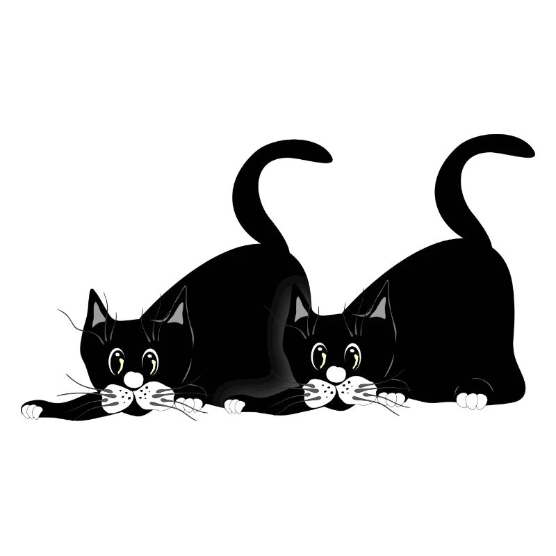 Chats