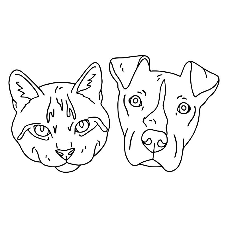 chat et chien