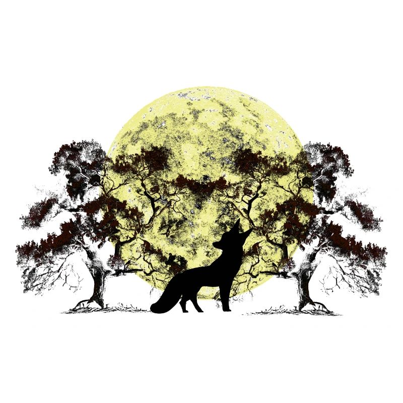 Moon, Forest, Fox, Foxes, Trees, Tree