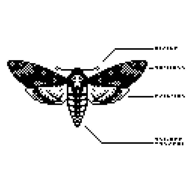 1bit Pixel Skull Hawkmoth