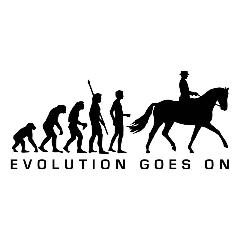 evolution_reiter_b