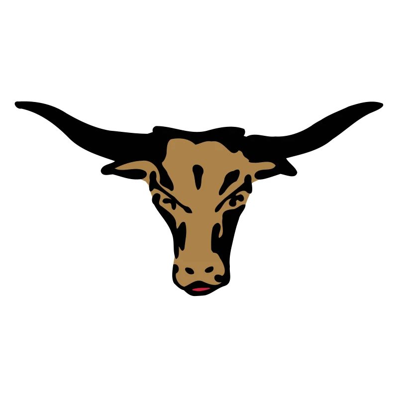 longhorn texas