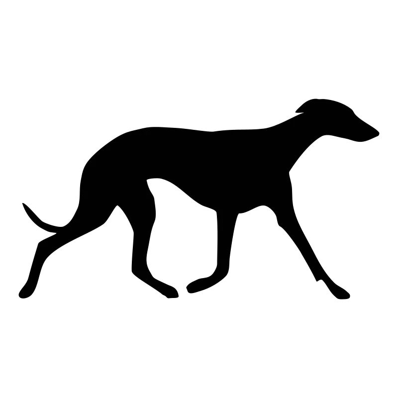 Whippet