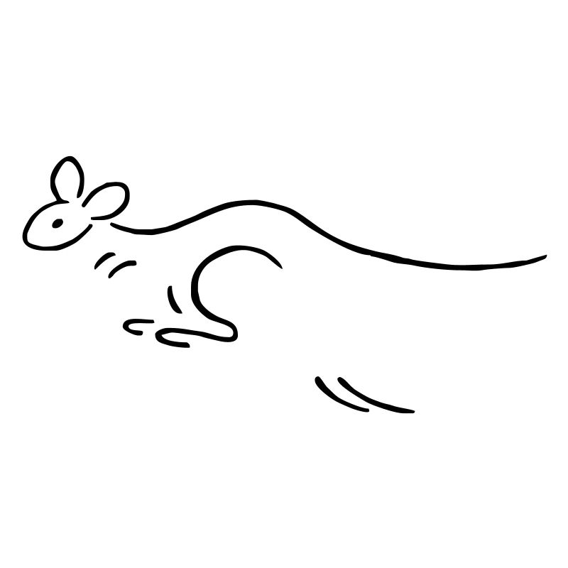 Kangaroo