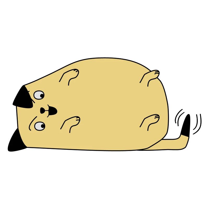 Chien regarde sa queue