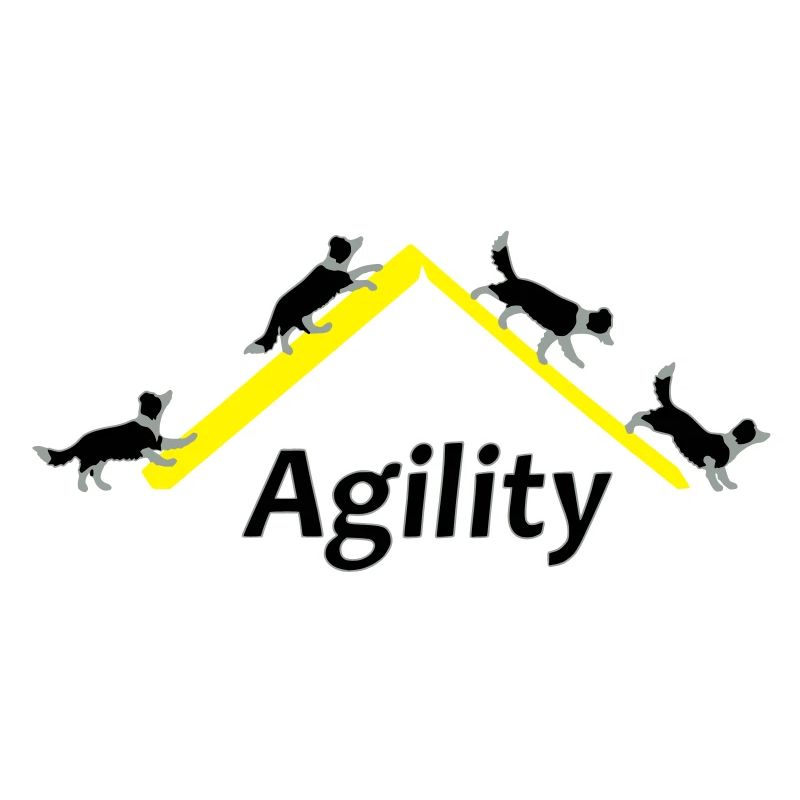 Agility 4x Border Collie