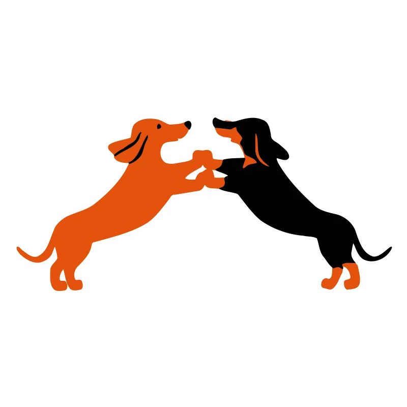 dog dancing teckel