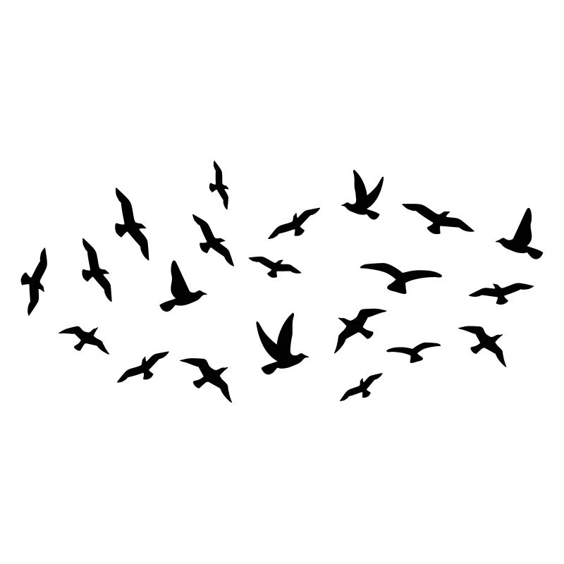 Oiseaux