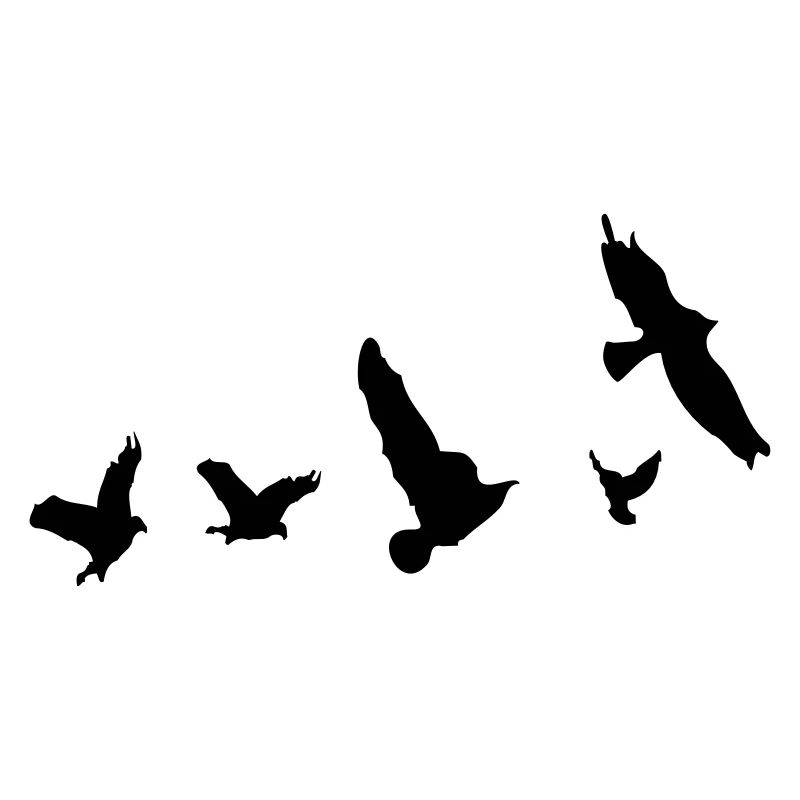 Fliegende Taube Vögel