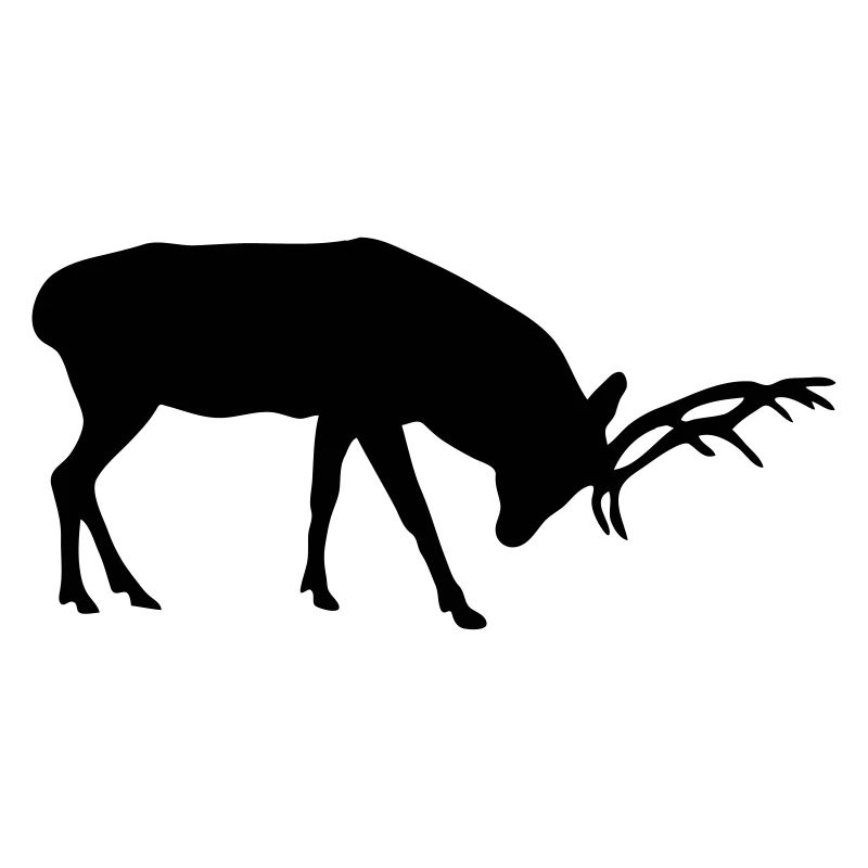 hirsch - geweih - jagd - jäger