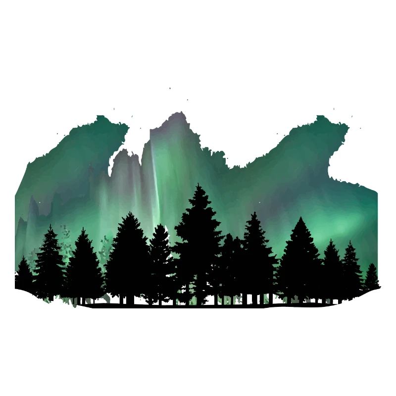 Northern Lights Forest by the Manzanita's